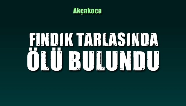 Fındık bahçesinde ölü bulundu