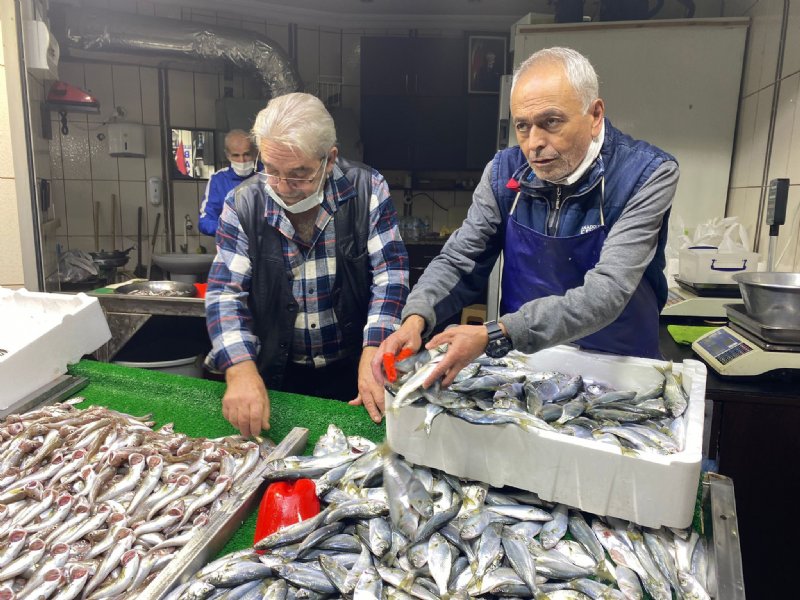 HAMSİ YERİNE İSTAVRİT! - 1