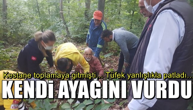 Kestane toplamaya gitmişti… Tüfek yanlışlıkla patladı… KENDİ AYAĞINI VURDU