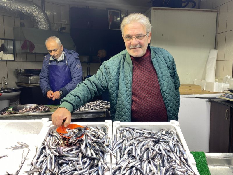 Palamut el yakıyor    - 3