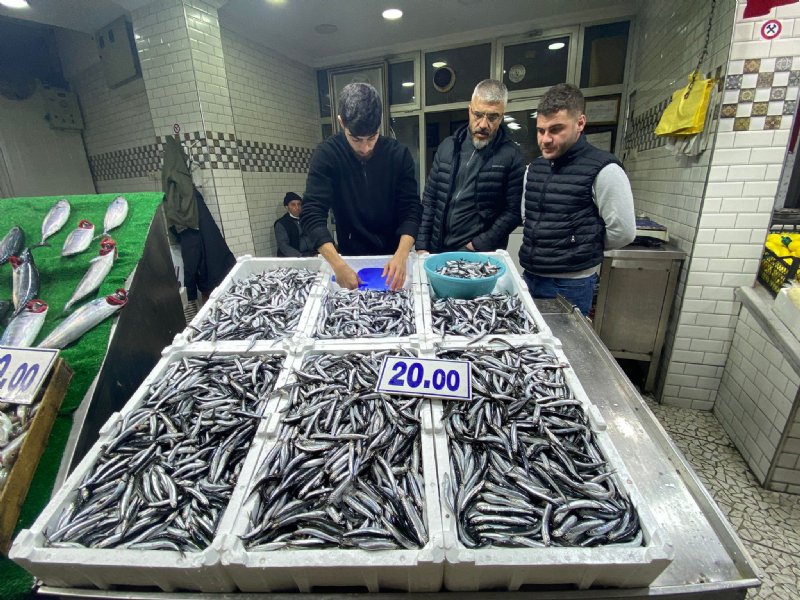 Palamut el yakıyor    - 5