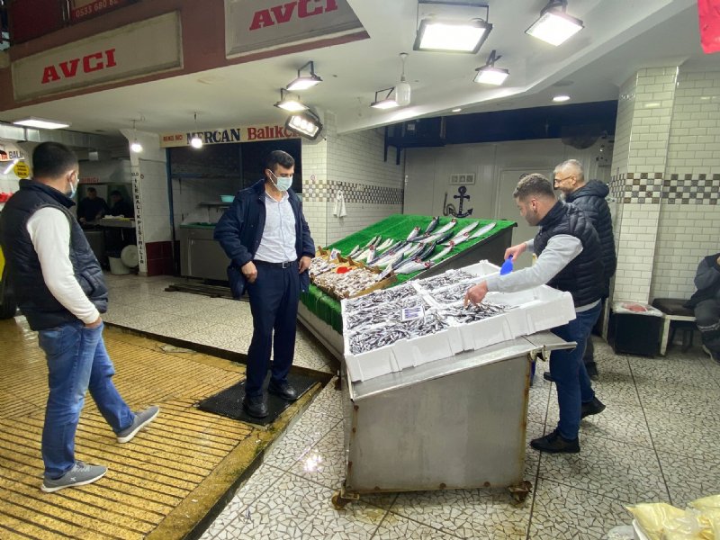 Palamut el yakıyor    - 7