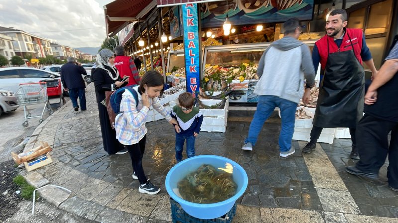 Tezgahta 30, masada 500 lira - 5