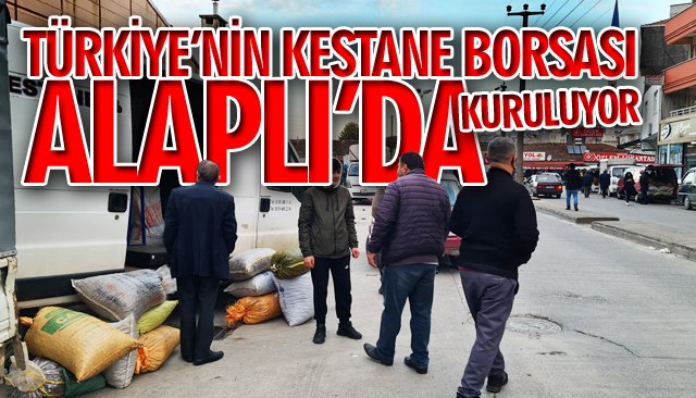 TÜRKİYE’NİN KESTANE BORSASI ALAPLI’DA KURULUYOR