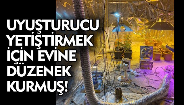 UYUŞTURUCU YETİŞTİRMEK İÇİN EVİNE DÜZENEK KURMUŞ!