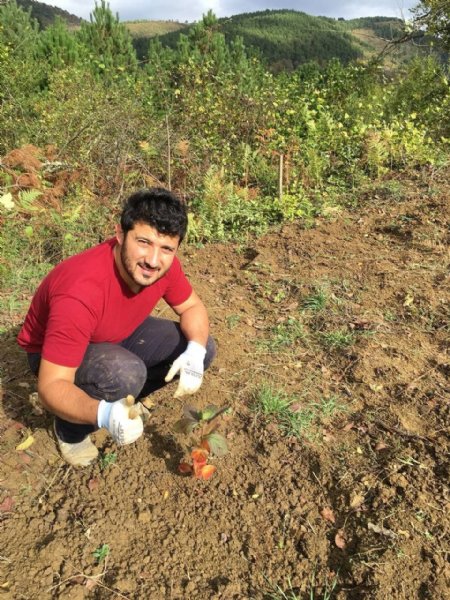 40 yıl Avrupa’da yaşadı, memleketine dönüp aronya bahçesi kurdu - 7