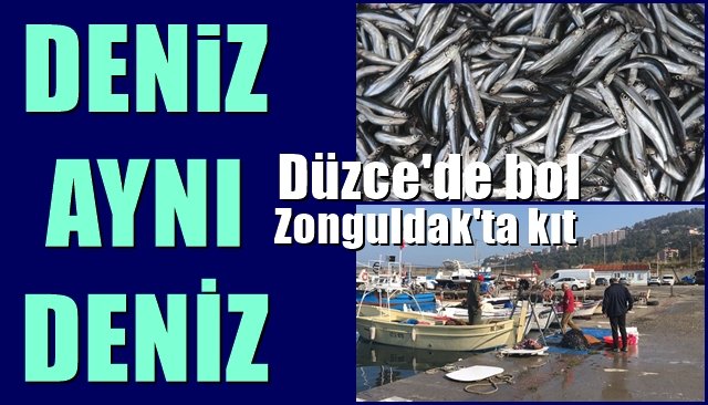 Düzce´de bol… Zonguldak’ta kıt… DENİZ AYNI DENİZ