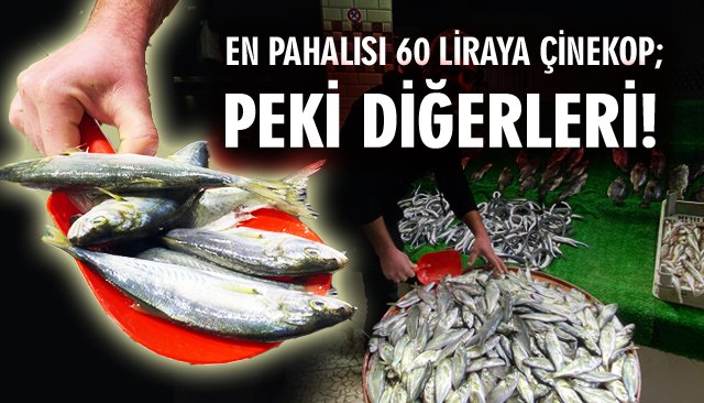 EN PAHALISI 60 LİRAYA ÇİNEKOP; PEKİ DİĞERLERİ…