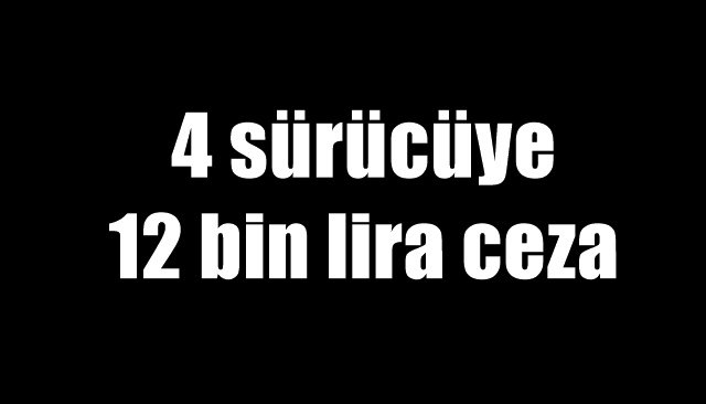 Ereğli´de 4 sürücüye 12 bin lira ceza