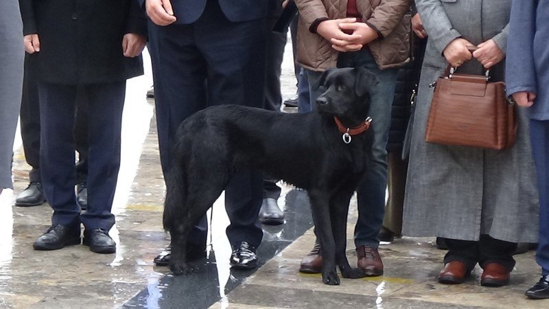 “EREĞLİ’NİN BOJİ’Sİ” - 6