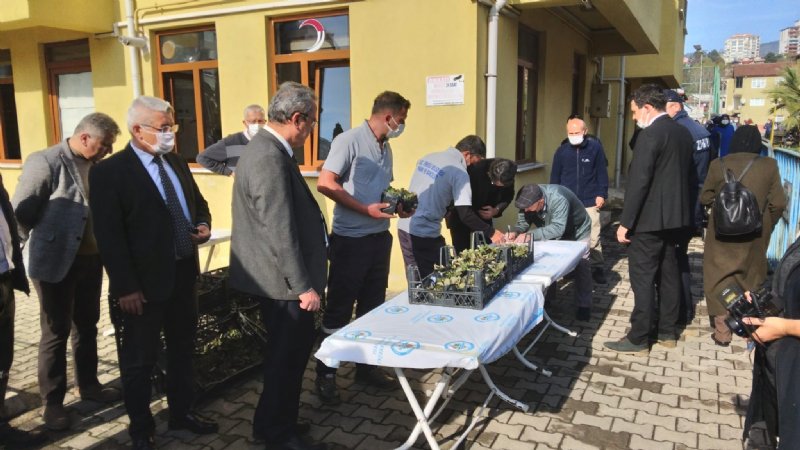 Karadeniz Ereğli’de üreticilere Osmanlı Çileği fidesi dağıtıldı - 5