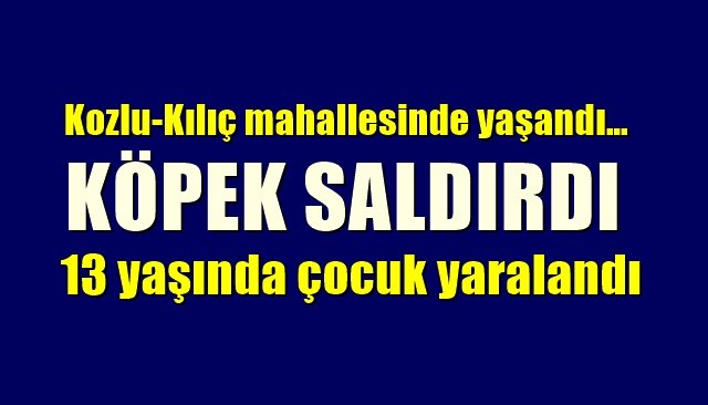 Kozlu-Kılıç mahallesinde yaşandı…KÖPEK SALDIRISI!