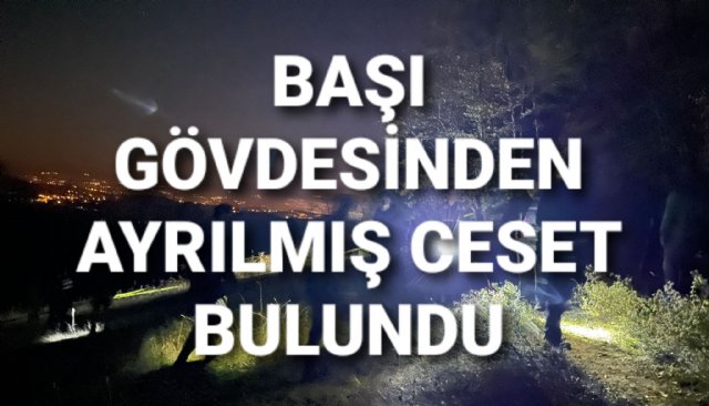 Ormanda başı gövdesinden ayrılmış ceset bulundu