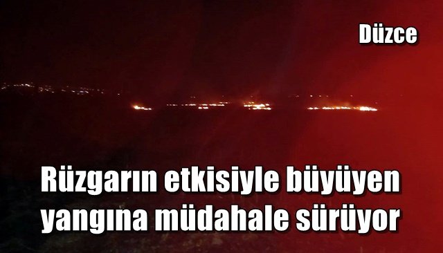 Rüzgarın etkisiyle büyüyen yangına müdahale sürüyor