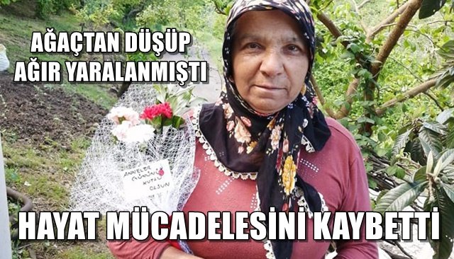 AĞAÇTAN DÜŞÜP AĞIR YARALANMIŞTI... HAYAT MÜCADELESİNİ KAYBETTİ