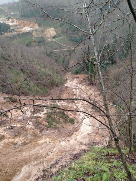 ALAPLI´DA HEYELAN FINDIK BAHÇESİNE ZARAR VERDİ - 2