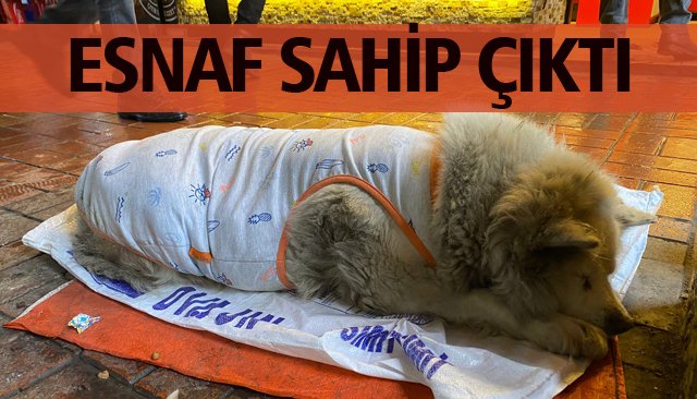 ESNAF SAHİP ÇIKTI