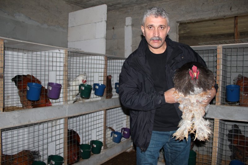 Hediye civcivle başladı kuluçkalık yumurta ihraç ediyor - 12