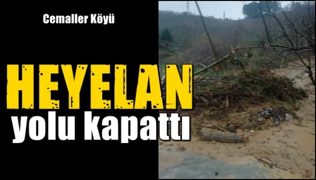 Heyelan yol kapattı