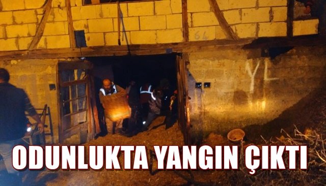 İki katlı evin odunluğunda yangın çıktı