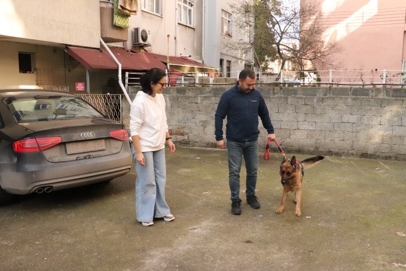 Kimliği belirsiz kişiler tarafından çalınmıştı… MADAM BULUNDU! - 2