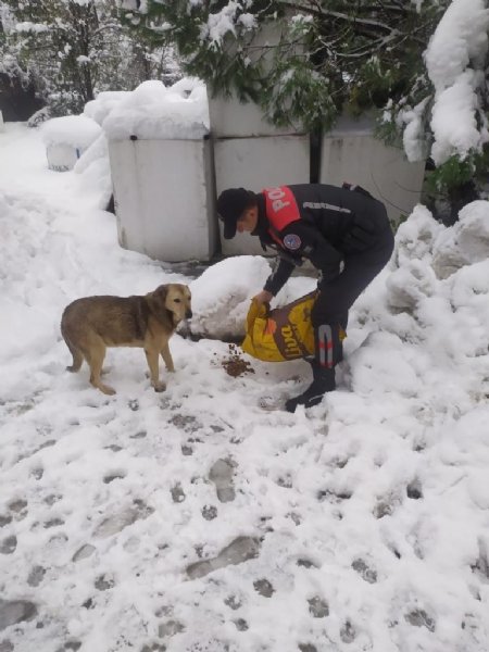  Polis ekipleri sokak hayvanlarını yalnız bırakmadı - 1