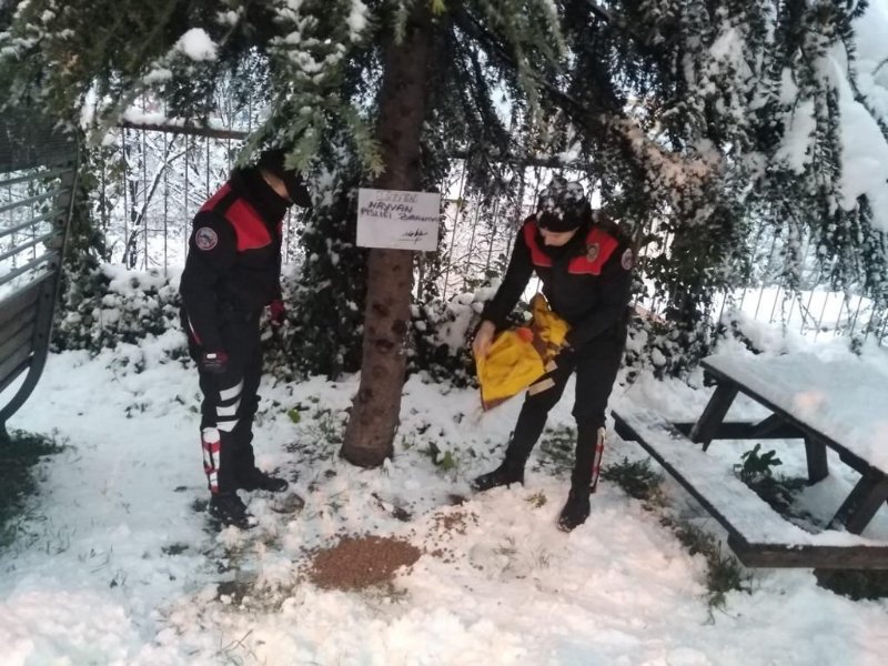  Polis ekipleri sokak hayvanlarını yalnız bırakmadı - 4