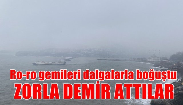 Ro-ro gemileri dalgalarla boğuştu