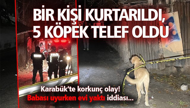 YANGINDA BİR KİŞİ KURTARILDI, 5 KÖPEK TELEF OLDU