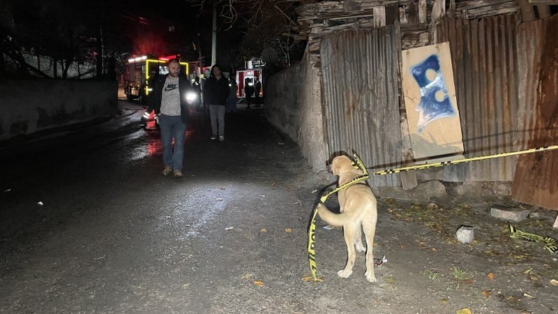 YANGINDA BİR KİŞİ KURTARILDI, 5 KÖPEK TELEF OLDU - 3