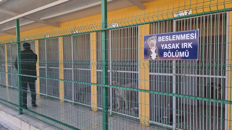 Yasaklı hayvanlar özel bölümde rehabilite ediliyor - 1