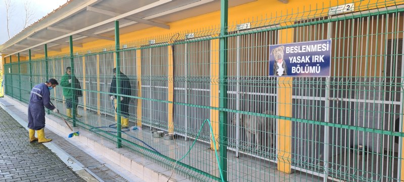 Yasaklı hayvanlar özel bölümde rehabilite ediliyor - 2