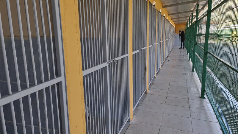 Yasaklı hayvanlar özel bölümde rehabilite ediliyor - 3