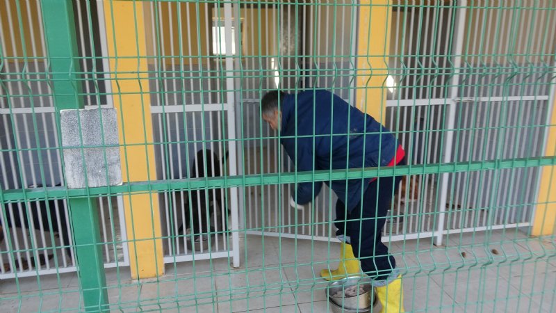 Yasaklı hayvanlar özel bölümde rehabilite ediliyor - 6