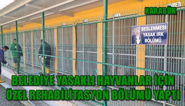  Yasaklı hayvanlar özel bölümde rehabilite ediliyor