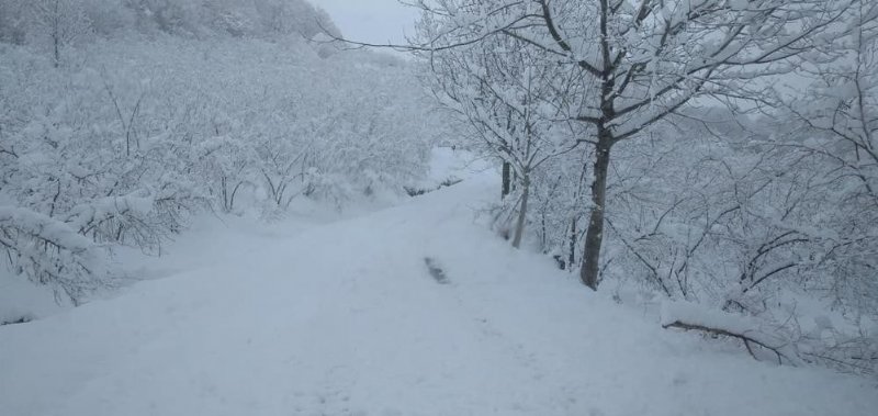 165 KÖY YOLU ULAŞIMA KAPANDI - 4