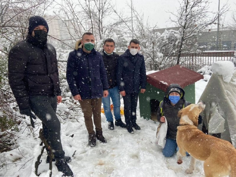 AK PARTİLİ GENÇLERDEN SOKAK CANLARINA KULÜBELER…  - 2