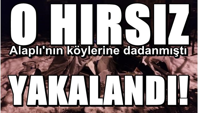 Alaplı´nın kırsalına dadanan hırsız yakalandı!