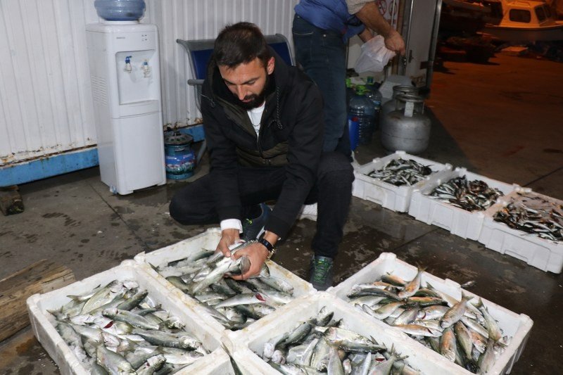 BALIK ZONGULDAK´TA, DOYAN İSTANBUL´DA... - 3