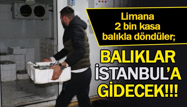 BALIK ZONGULDAK´TA, DOYAN İSTANBUL´DA...