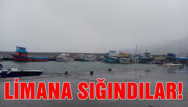 Balıkçılar fırtına nedeniyle limana sığındı