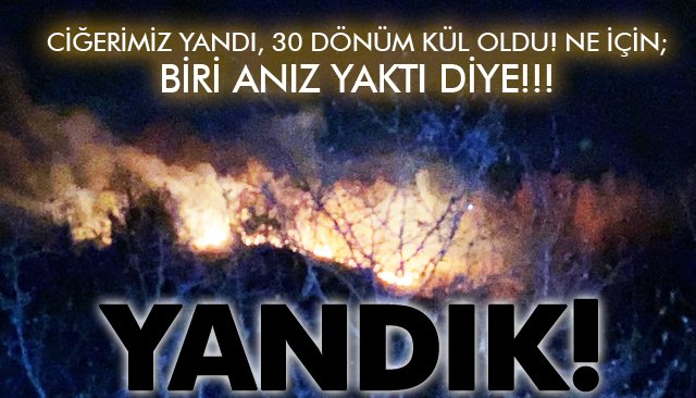 CİĞERİMİZ YANDI; 30 DÖNÜM KÜL OLDU!!! 