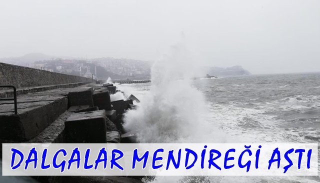 DALGALAR MENDİREĞİ AŞTI