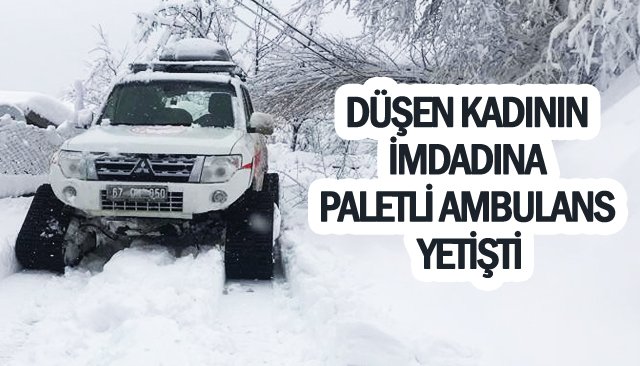 DÜŞEN KADININ İMDADINA PALETLİ AMBULANS YETİŞTİ 