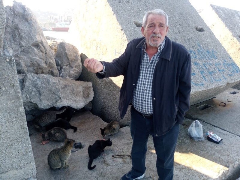HER GÜN 10 KEDİNİN YİYECEK İHTİYACINI KARŞILIYOR - 1