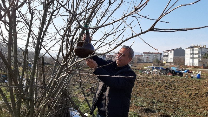 Kanatlı canlara, süs kabaklarından evler yapıyor - 3