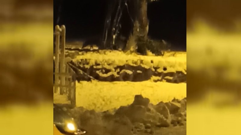 KURTLAR ŞEHRE İNDİ - 1