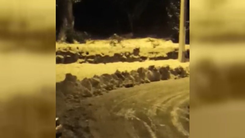KURTLAR ŞEHRE İNDİ - 3