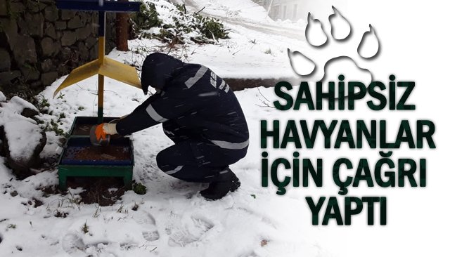 SAHİPSİZ HAVYANLAR İÇİN ÇAĞRI YAPTI