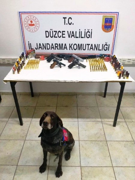 SİLAHLARI BOMBA ARAMA KÖPEĞİ BULDU  - 1